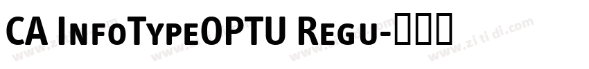 CA InfoTypeOPTU Regu字体转换